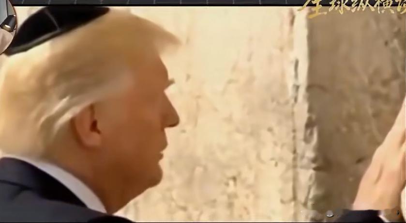 细思极恐！爱泼斯坦档案藏大瓜，特朗普竟只是台前傀儡？爱泼斯坦档案全网吵翻，