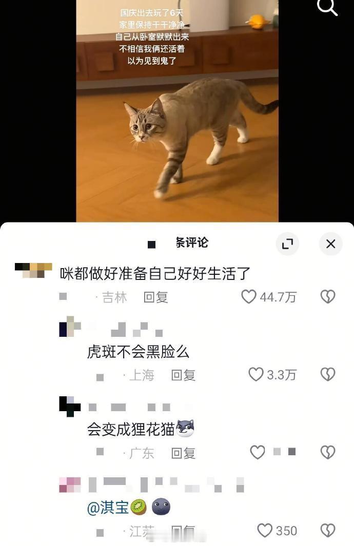 咪咪都准备自己生活结果你回来了……