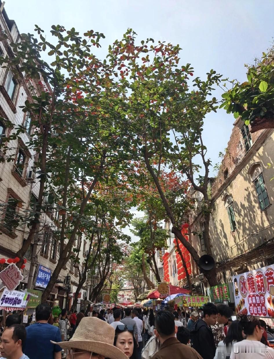 现在可以肯定地说，马年春节期间湛江旅游业收入又创新高，来湛旅客量又创新高，带动湛