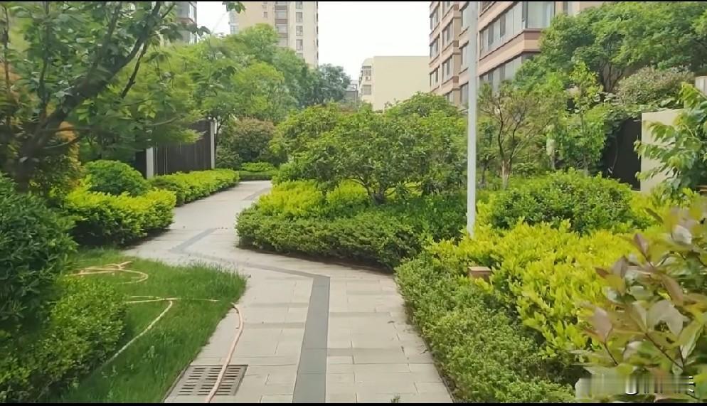 今天二姑来我家，让我去办一件事，我说办不了啊！二姑家儿子有套房子要卖掉，挂了