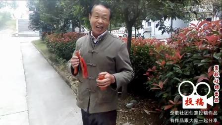 [搞笑视频]歪歌社团中国未解之谜第七部《夏朝