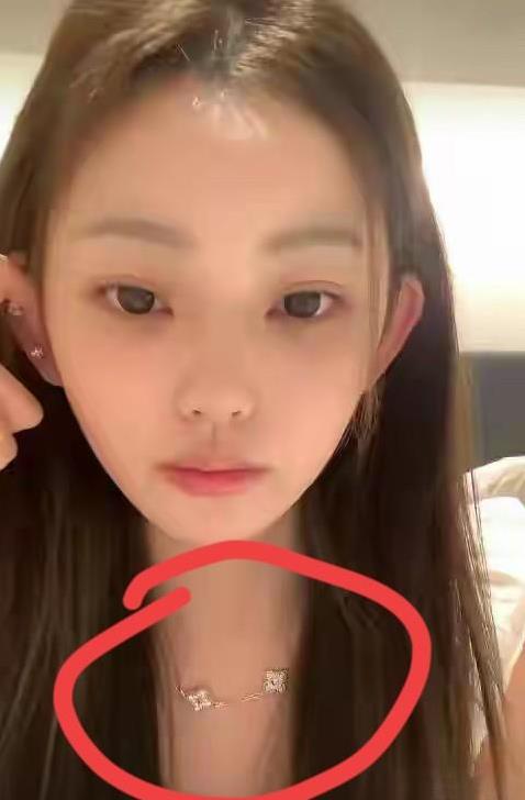 懒懒项链是梵克雅宝的四叶草，价值52万。看得出，王撕葱对女朋友出手真大方，但是，