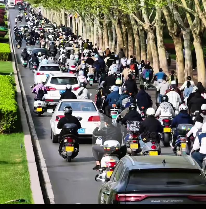 经常刷到吐槽济南电动车多的视频，言语中透露着车多车乱的嫌弃感。其实说济南电动车