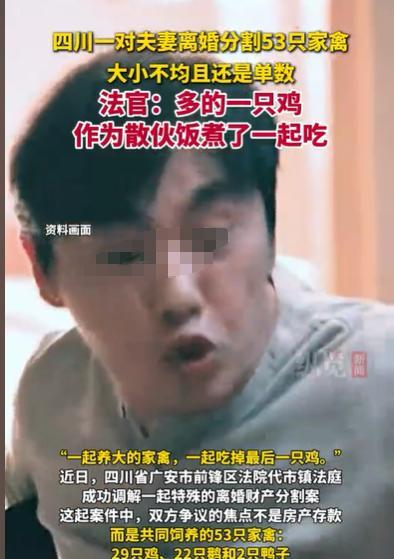 四川广安，女子养了53只鸡鸭鹅，但她和丈夫实在是过不下去了，她就想离婚带走这53