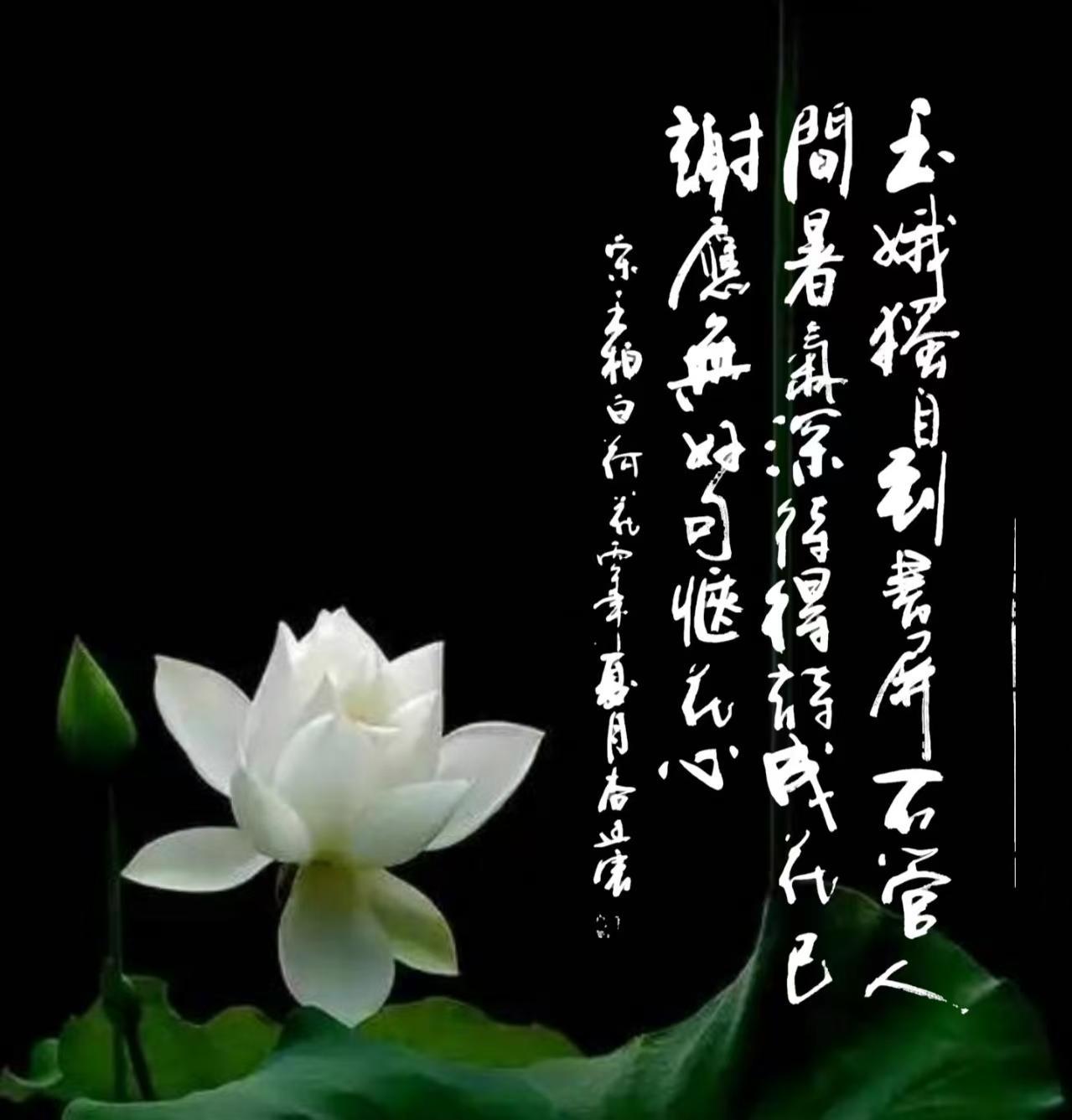 尚廷震书法作品欣赏。尚廷震的书法苍劲有力，融合了传统与新时代的气息。在如今快节