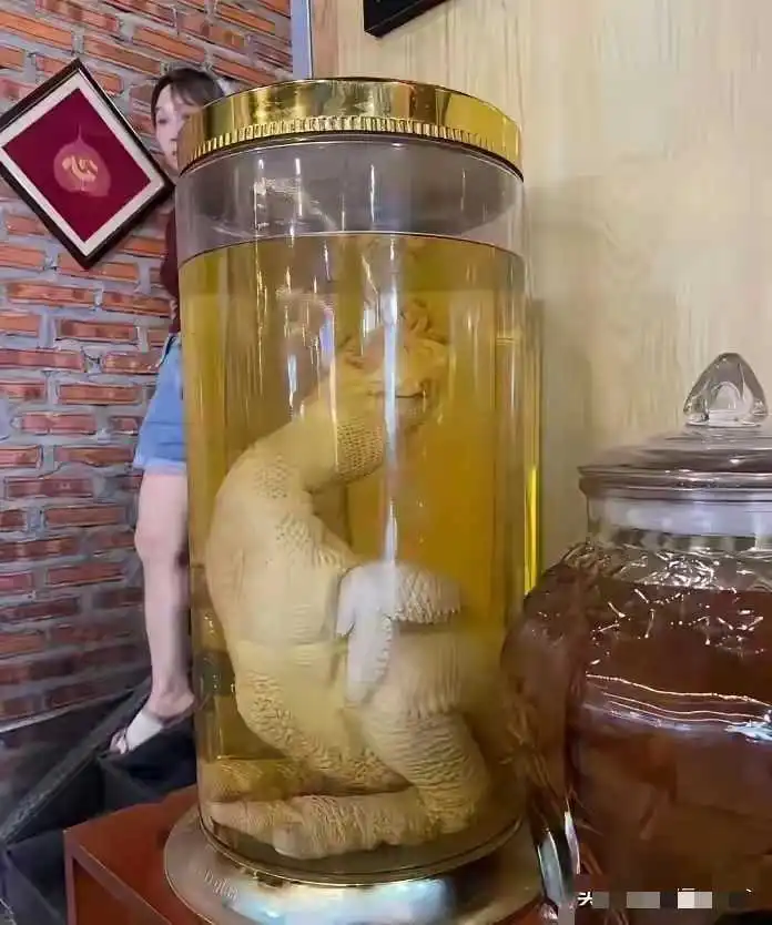 什么都能拿来泡酒啊？？？