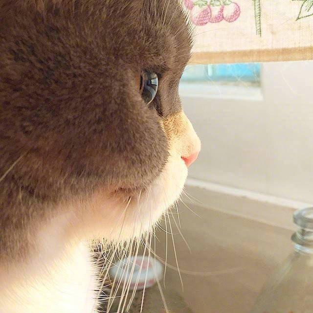 脸型完全一样