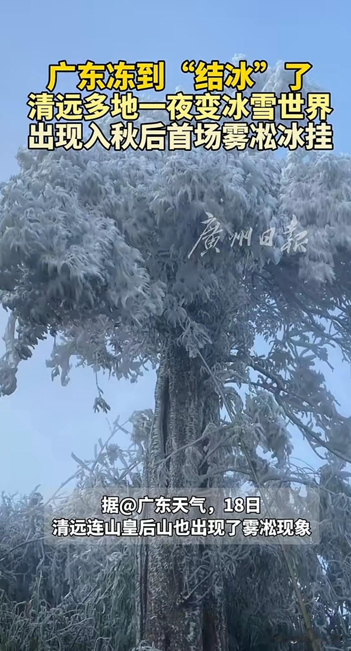 世界速度看中国，中国速度看广东，广东速度有多快？广东从夏天都冬天不到一天。昨天还