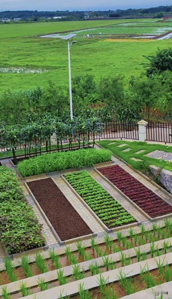 后天就过年了，还有没备年货的吗？[哭哭][哭哭][哭哭]甚至过年都