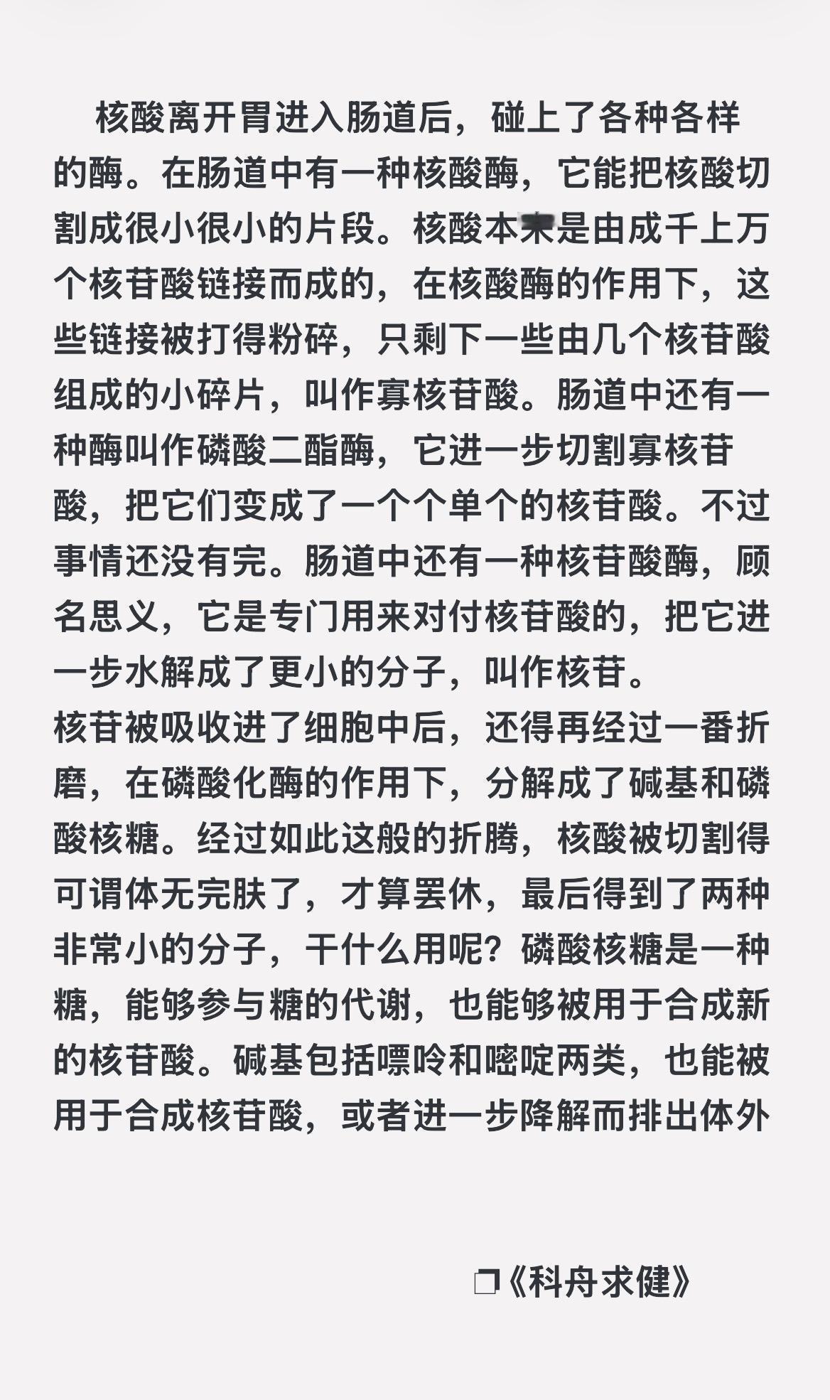 核酸的分解过程