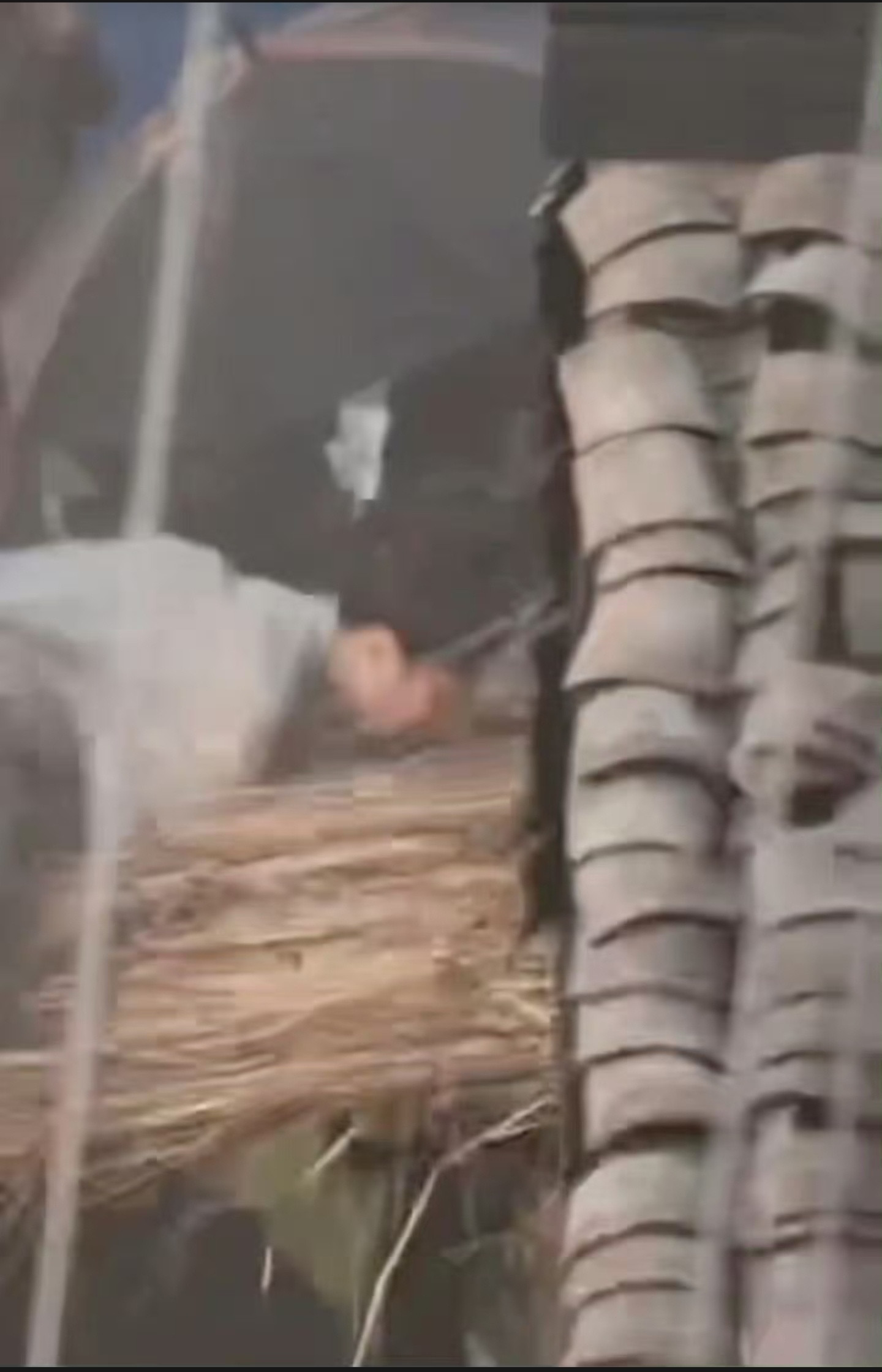 成毅又受伤了❶能不能带成毅去看医生，头部撞到不是小事情！❷动作组能多几个人吊威亚