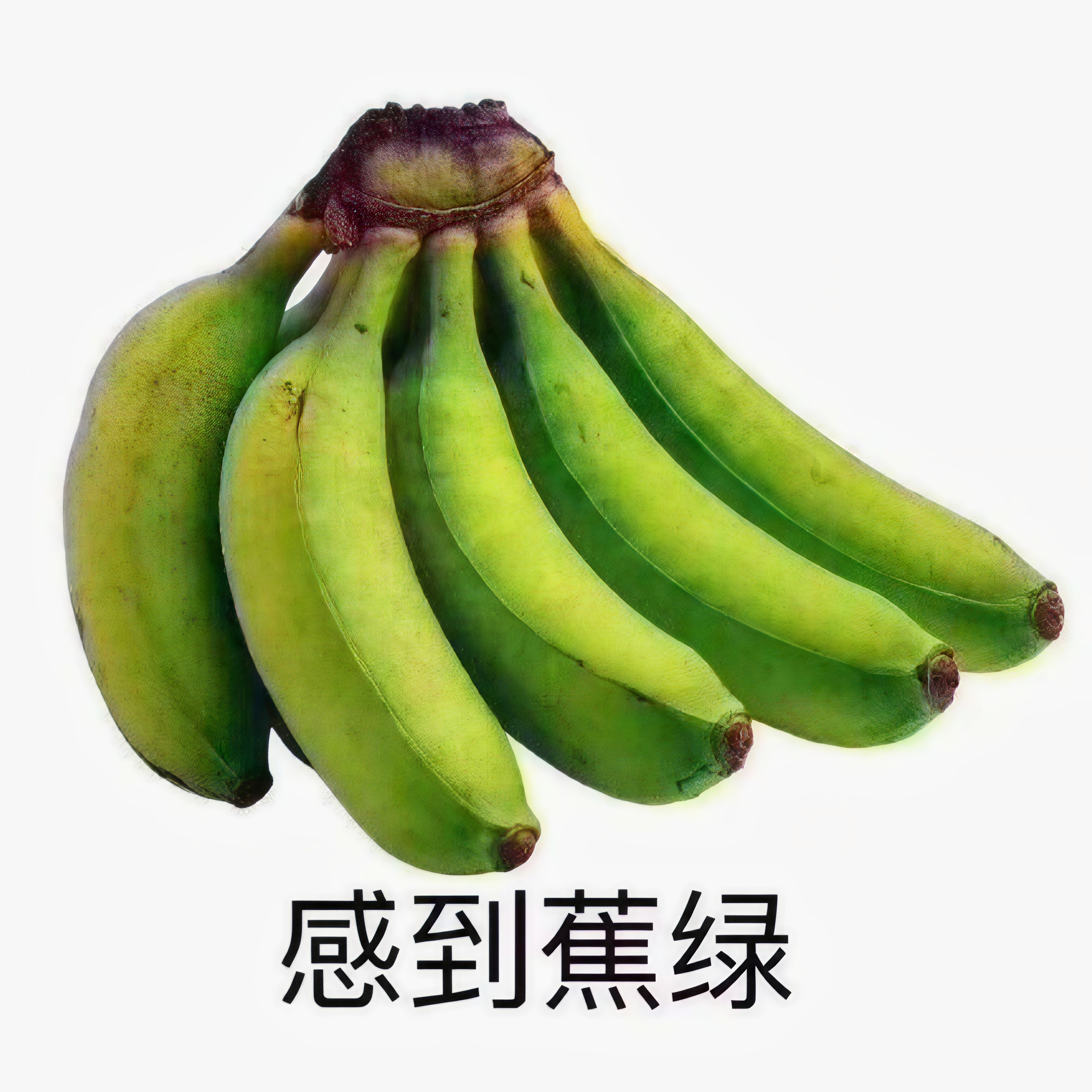 宇宙或仅剩约333亿年的寿命一想到这个事，我就焦虑到睡不着觉