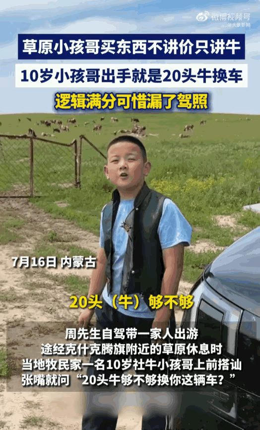 贫穷限制了想象！内蒙古赤峰，一个10岁的牧区“小孩哥”在草原上拦下一家游客，当着