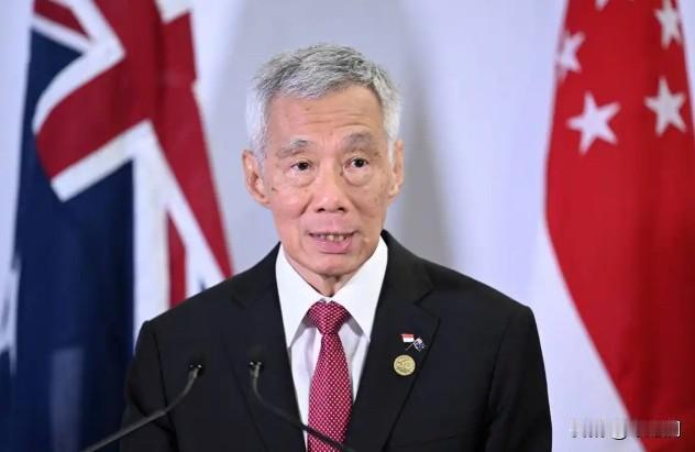 李显龙表示，真正的新加坡人要认清一个事实，新加坡不是华人国家，只是华人占多数而已