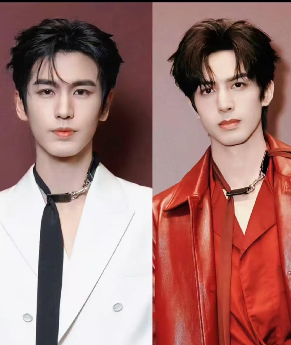 别再傻傻分不清了。宋威龙和张凌赫，看似一个模子刻出来的双生子，气质的根源却南辕