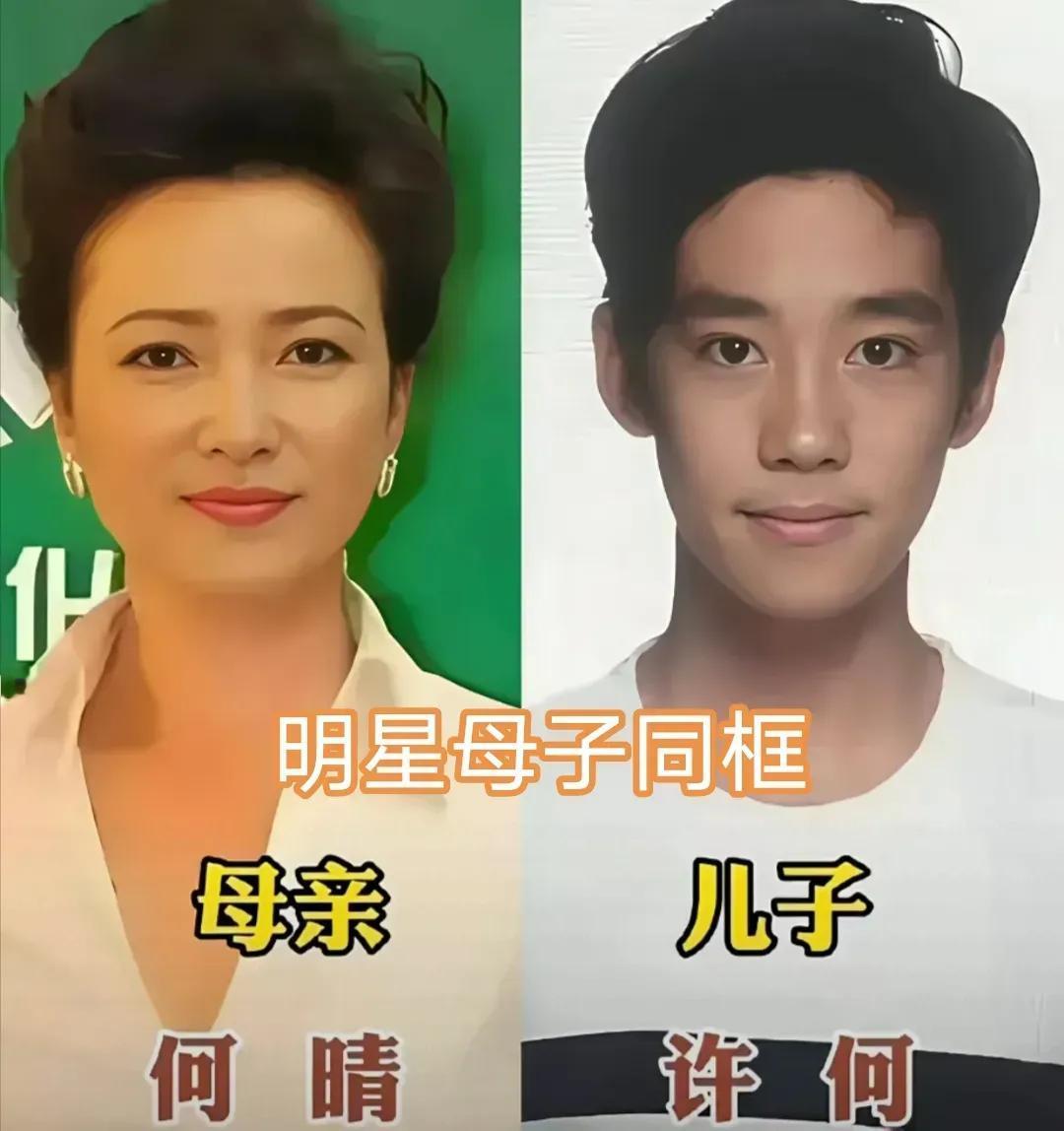 闫学晶母子合影。陈红母子合影。伊能静母子合影。李玲玉母子合影。王艳母子合