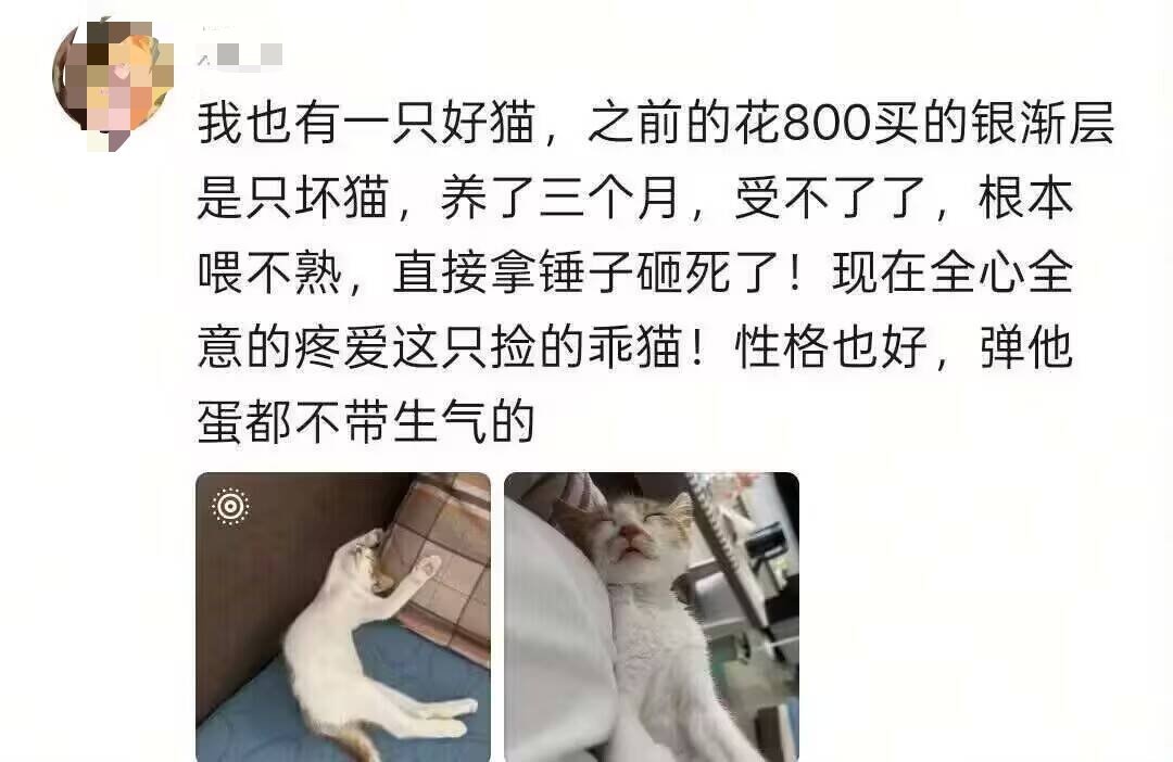 初衷是好的，执行是好的，结果也是好的，给他好完了……​​​