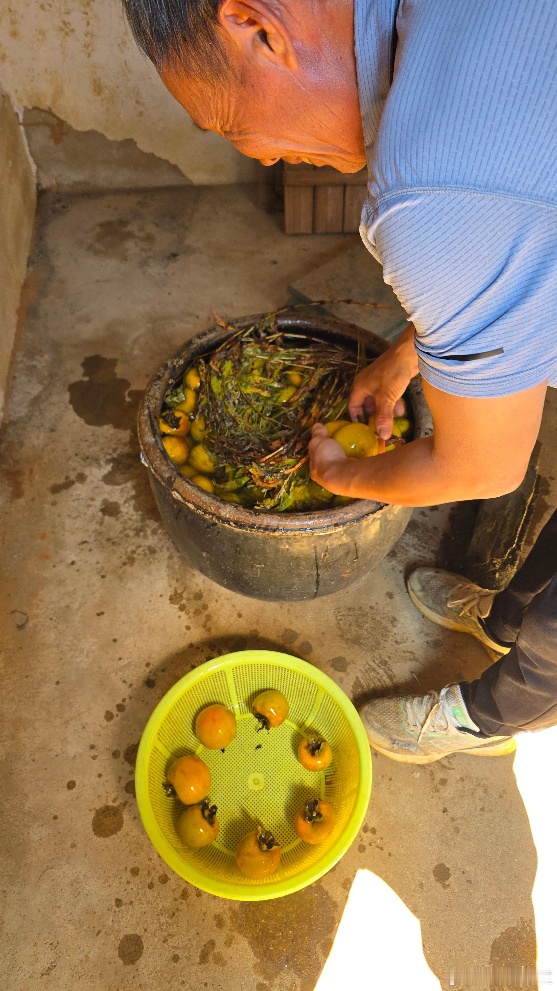 农村古法浸柿子​​​