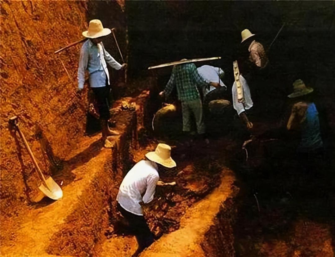 这有意思嘿1981年劳动节陕西兴平县农民高军田在平整土地时挖到了一道金光