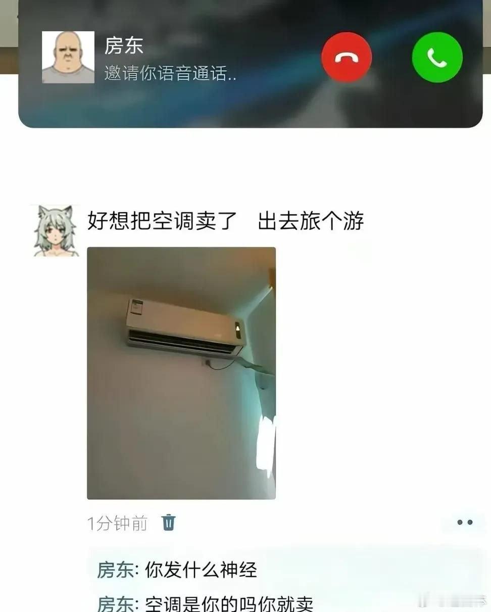 卖一些二刺猿懂的东西