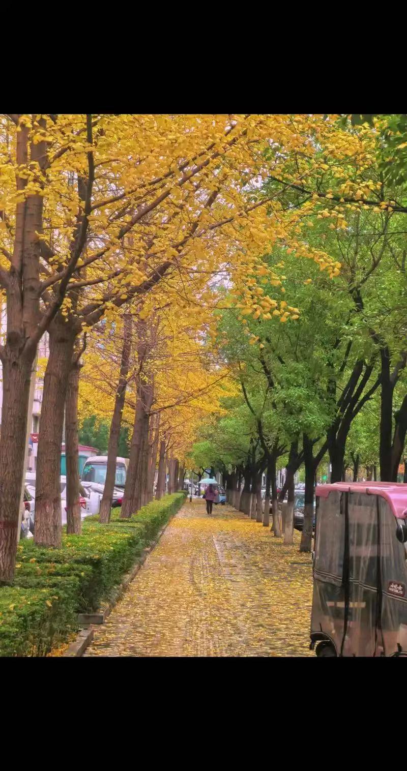 气温一降，心脑血管的警报拉响了。最近医院里，脑梗患者明显多了，大多集中在50到