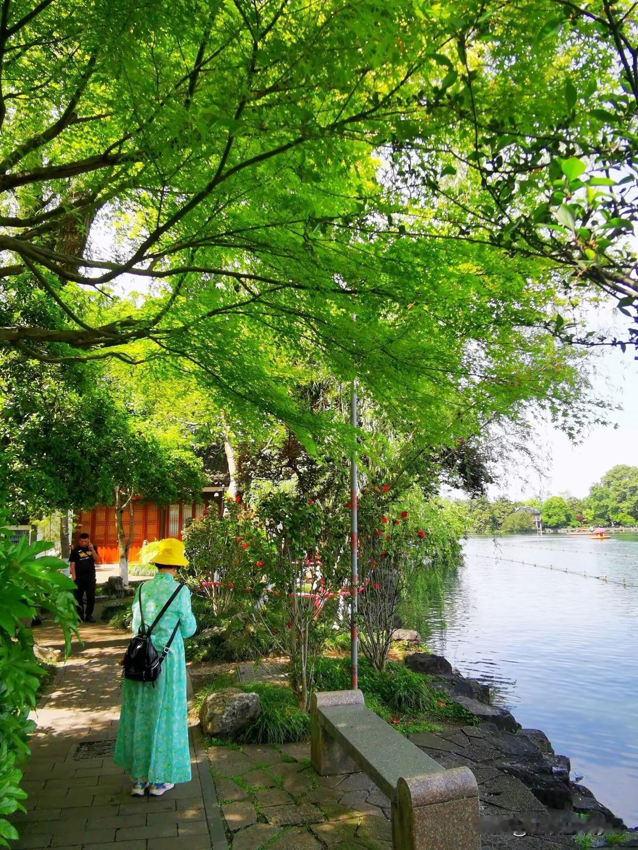 徒步杭州西湖南线景点，一湖山水一湖诗，柳枝静静地垂着，用最谦卑的姿态，亲吻着这片