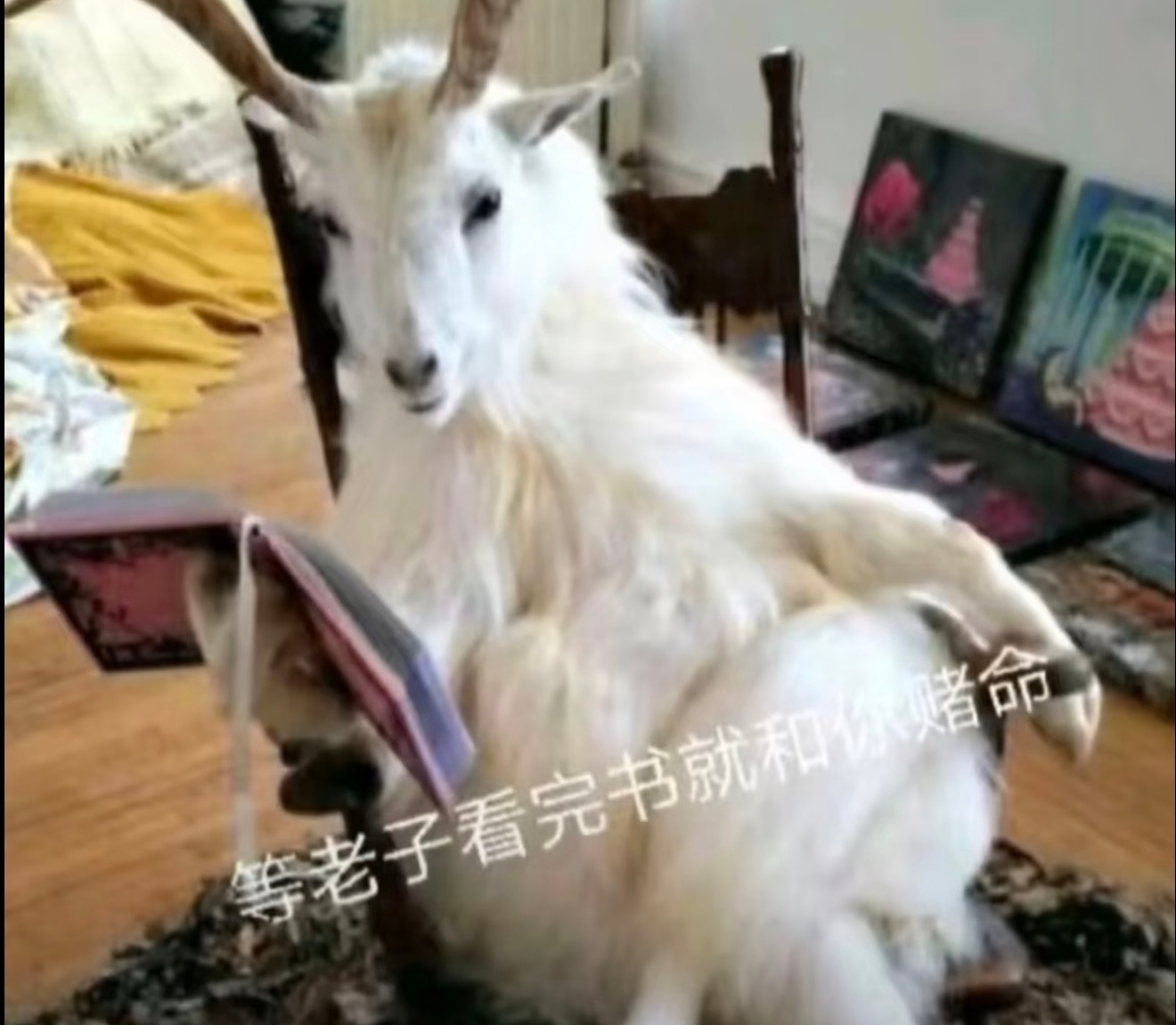 哈哈哈哈哈哈哈这什么图