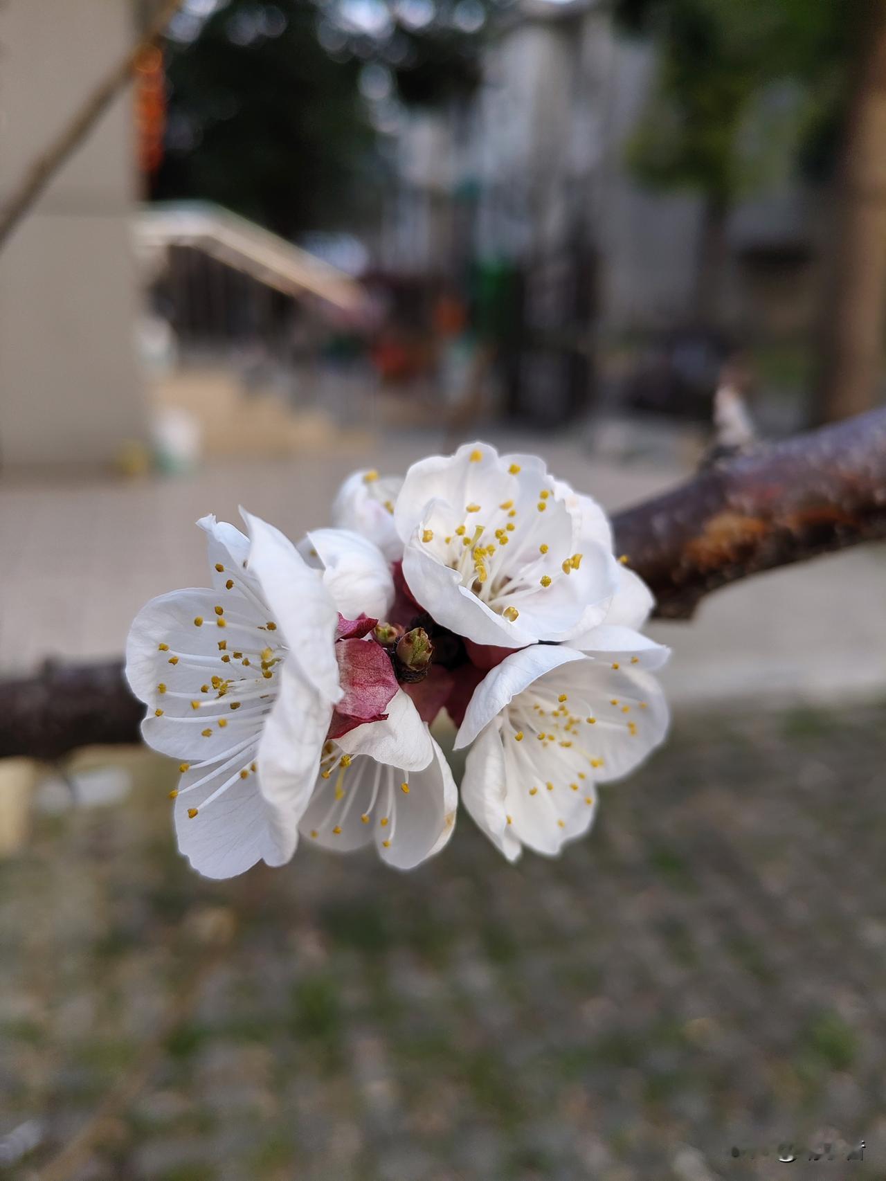 我儿子小时候情商可高了，动不动就关心我说：妈妈你累了吧，我来给你捏捏肩，我来给你