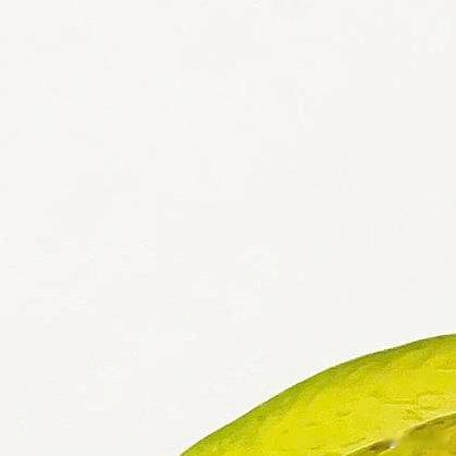 杨桃的种植方法一、选择地点杨桃喜欢温暖湿润的气候，需要充足的阳光。选择排水良好