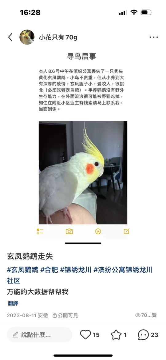 最近有朋友的小太阳鹦鹉丢了。