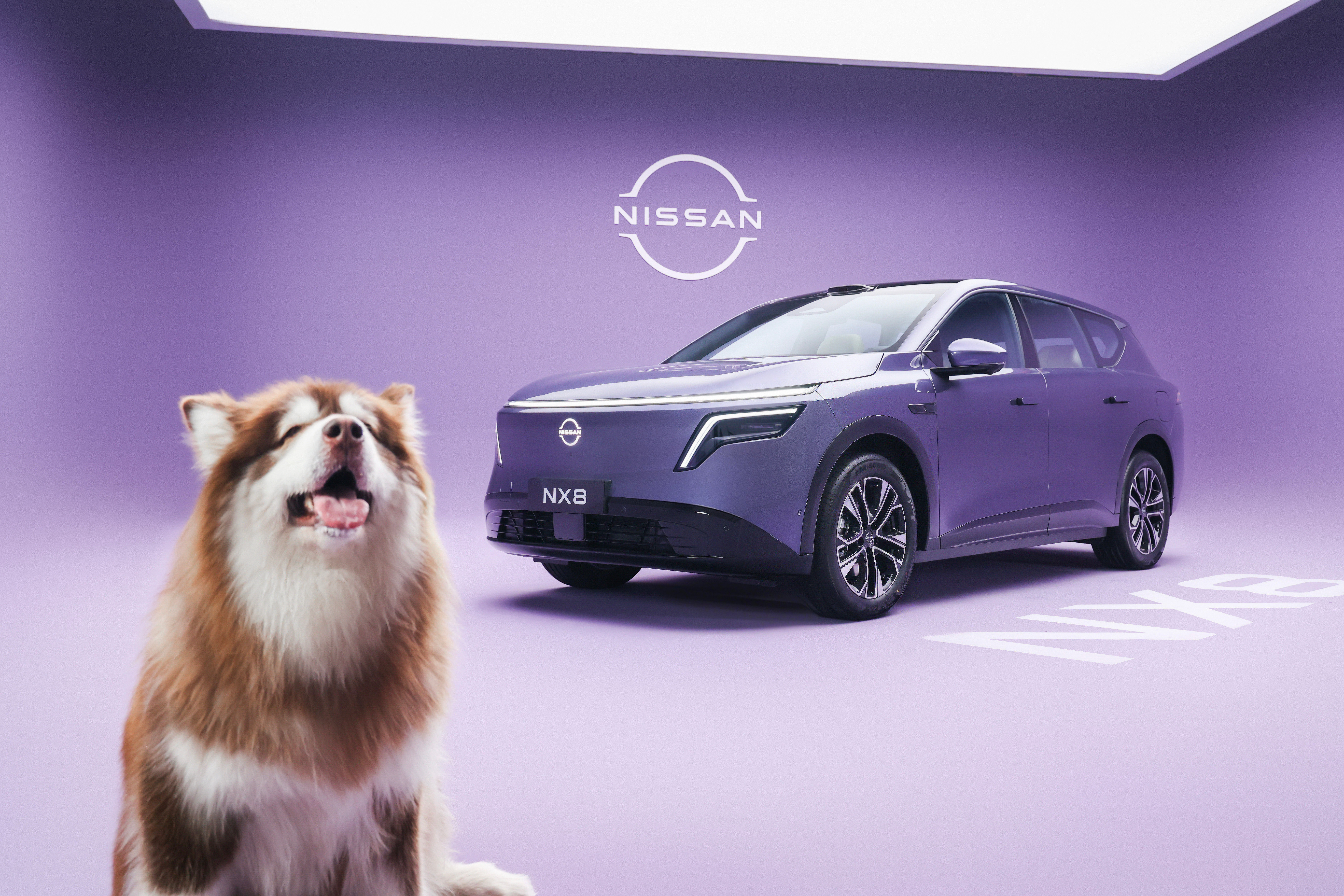 空间够顶，才叫真·顶流！东风日产NX8用发布会的现场硬核测试，刷新20万级SU