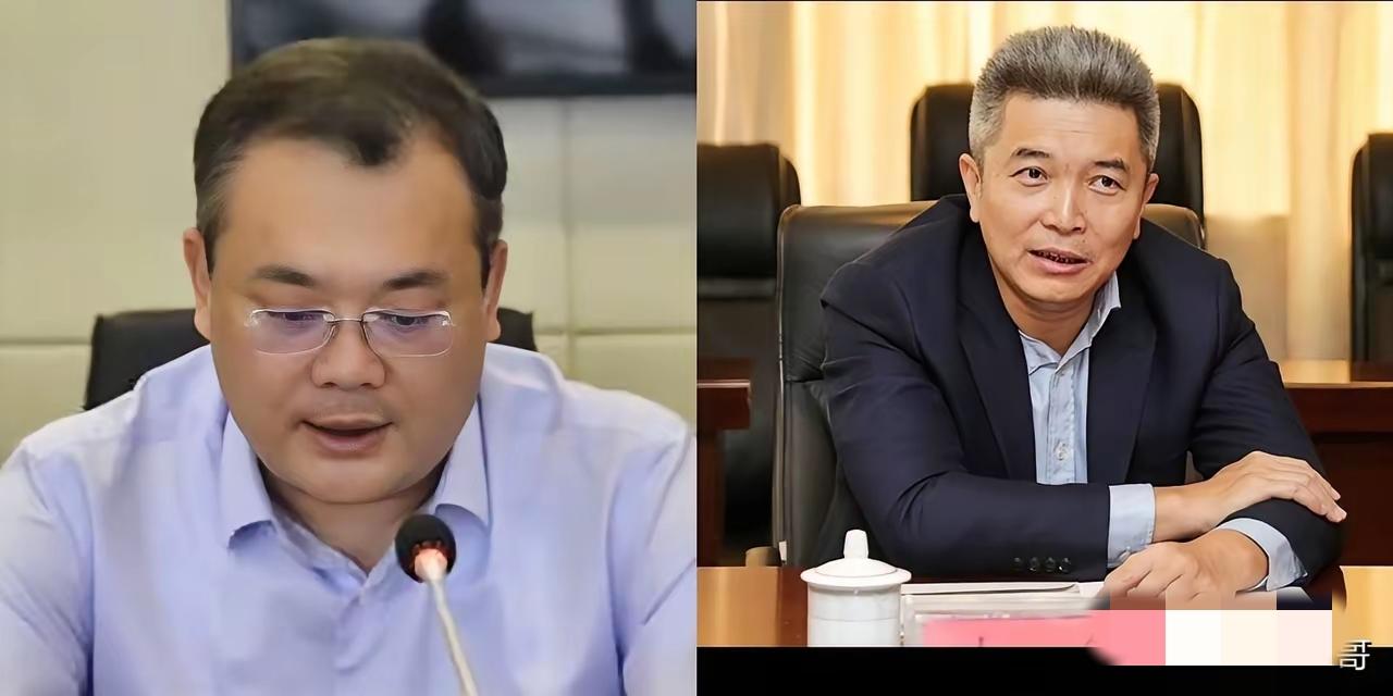 曹德旺的接班人，其实早就内定了！别纠结是儿子还是女婿，看看两人的履历就一目