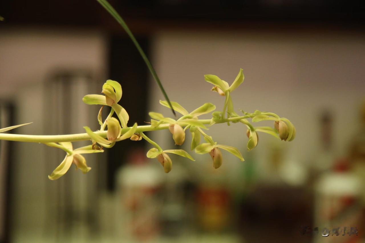 今天是世界读书日，形形色色的阅读推广，场景很多。虽然读纸质书的人越来越少，但各种