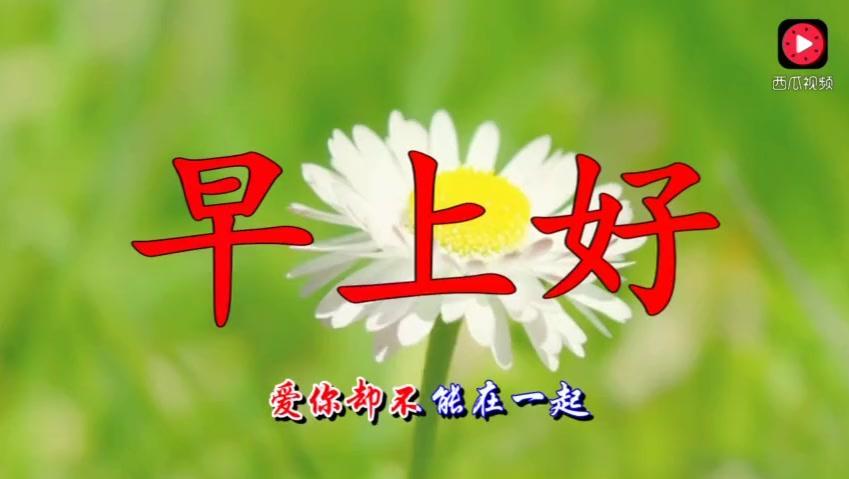 一个人唱情歌简谱_只有我一个人觉得简谱