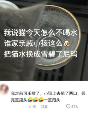 猫:今天喝水怎么还打我舌头