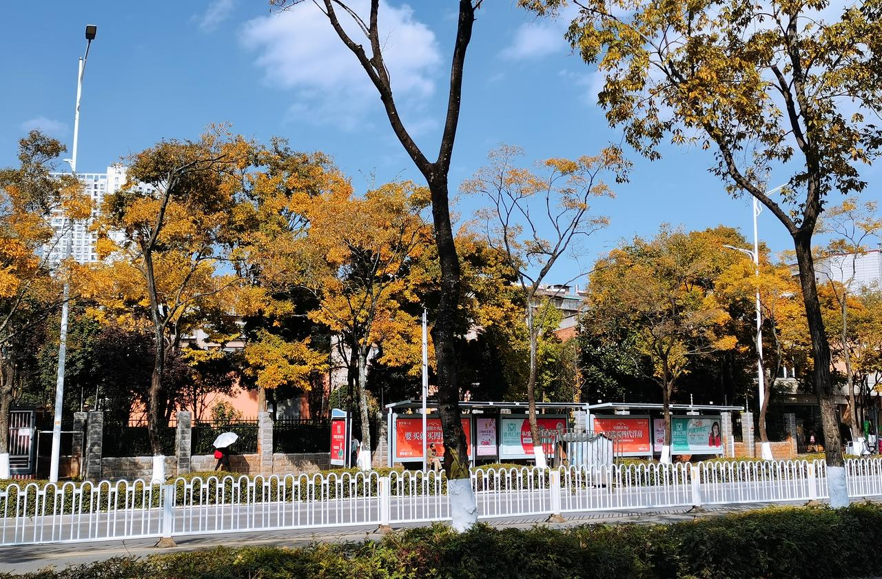 昆明是一座阳光之城，她的阳光与其它城市平平无奇的阳光相比，可谓个性鲜明、变化万端