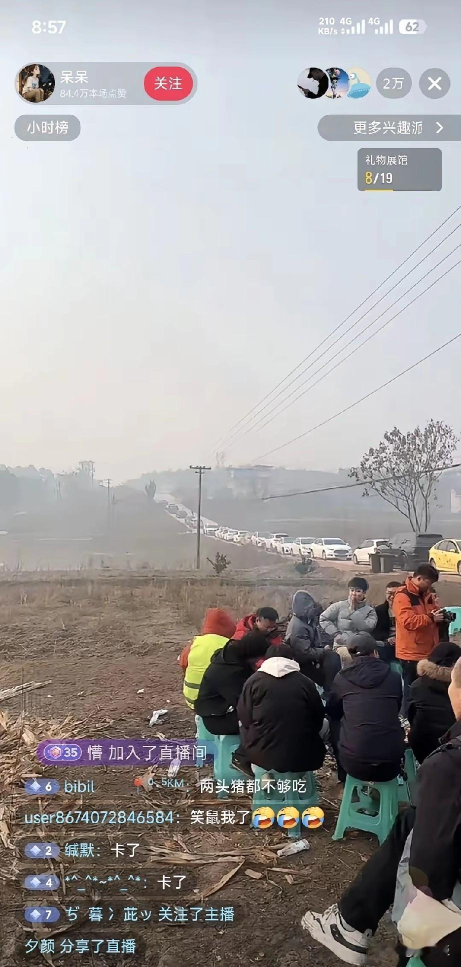 想不到两头待宰的猪直接带火了重庆合川旅游，合川文旅绞尽脑汁都不如这个姑娘请人来膛