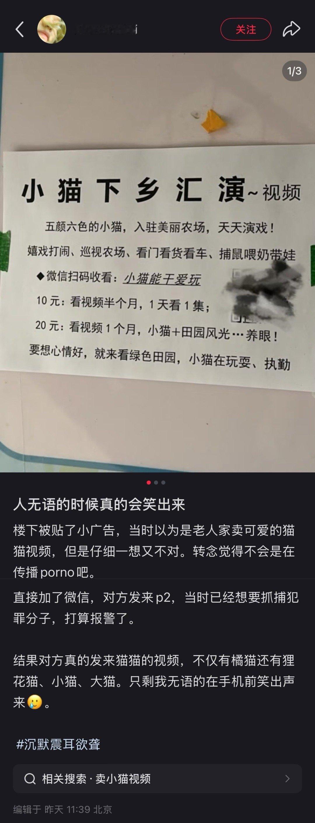 其实是大爷用卖视频的钱来养收留的流浪猫还怪可爱的嘞​​​