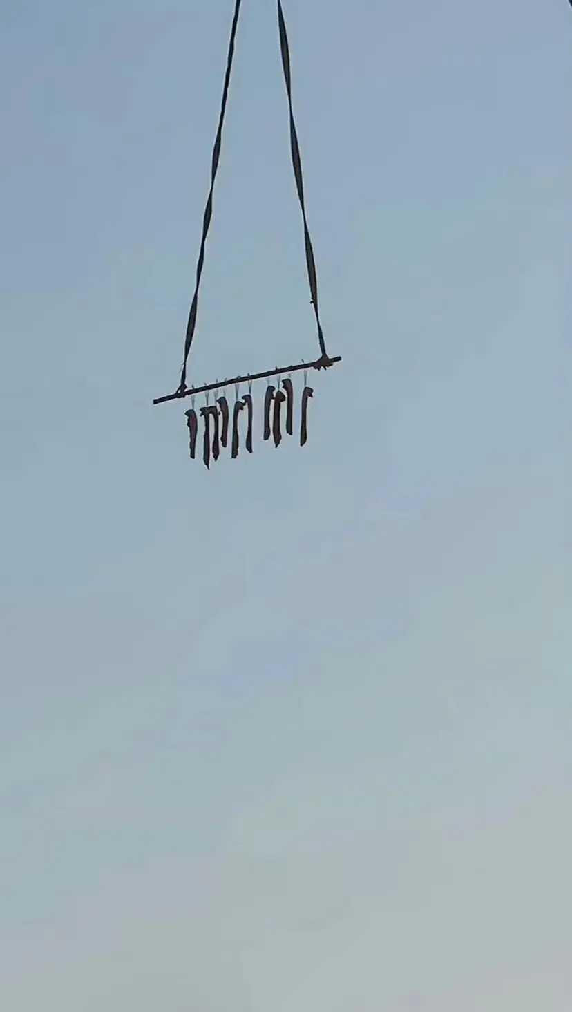 防盗的最高境界不敢想象这个腊肉主人经历了什么