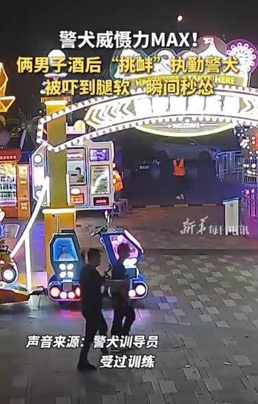 “笑不活了！”湖北黄石，俩男子酒劲上头，非要打赌，比谁胆子大敢摸附近执勤的警犬，