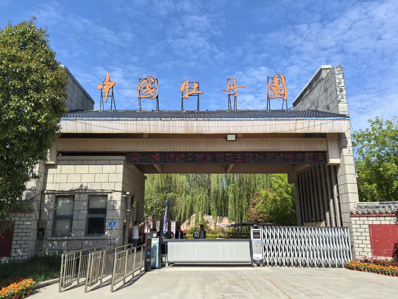 ▲山东菏泽-中国牡丹园菏泽牡丹农耕文化 牡丹原产