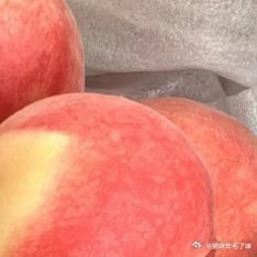 桃子的种植方法1、种植时间种植桃树要选好适宜的时间，一般是在秋季种植，此时气温较