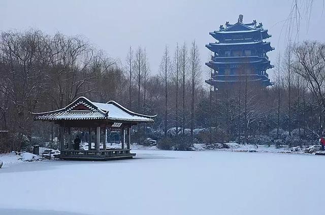济南的雪，把大明湖的水墨意境拉满了。这一场雪，不仅仅是自然的馈赠，更像是一幅流动