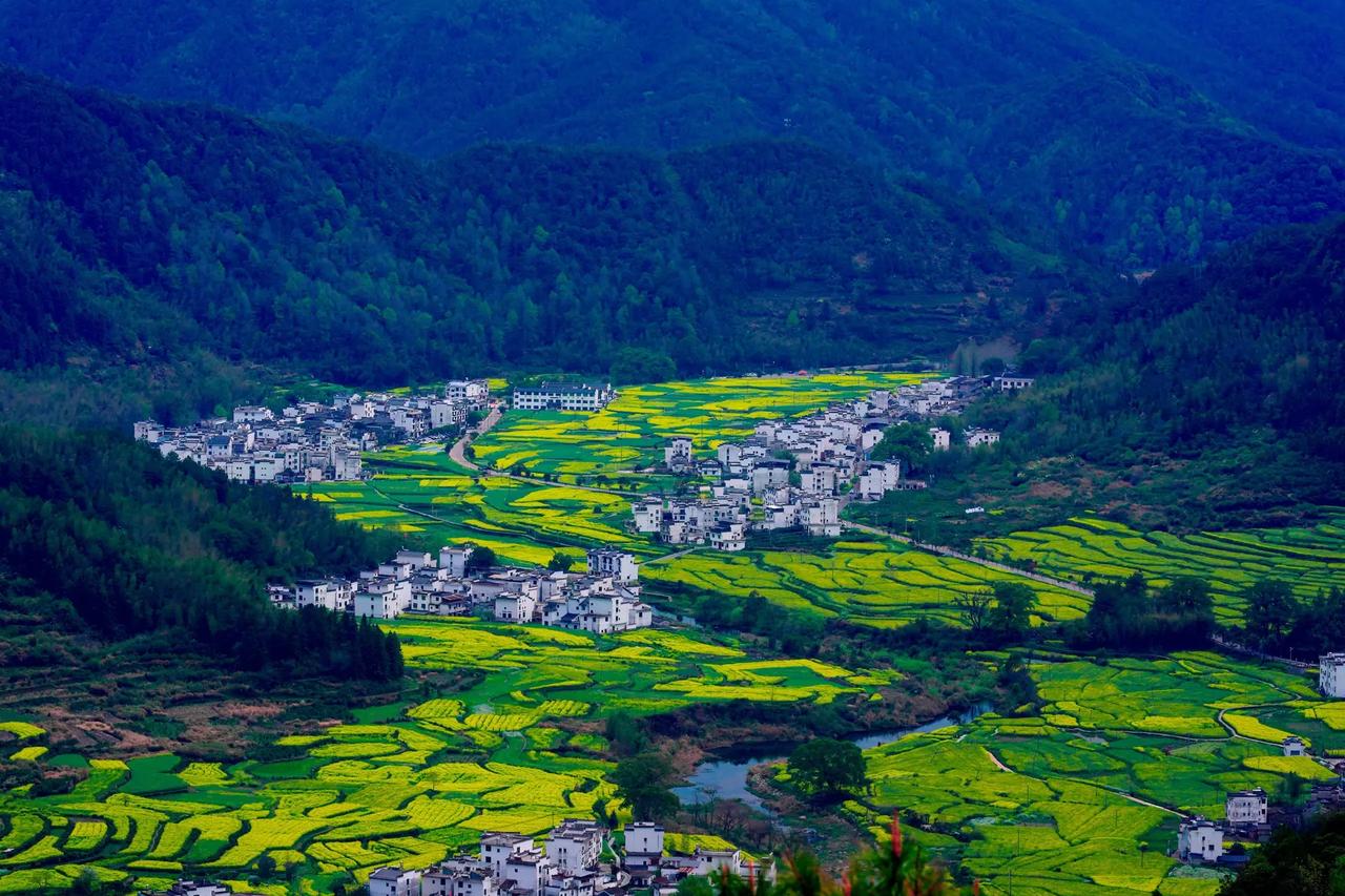 我希望所有家长都能明白，名校的老师固然好，但并非名校的所有老师都优秀。有不少名校
