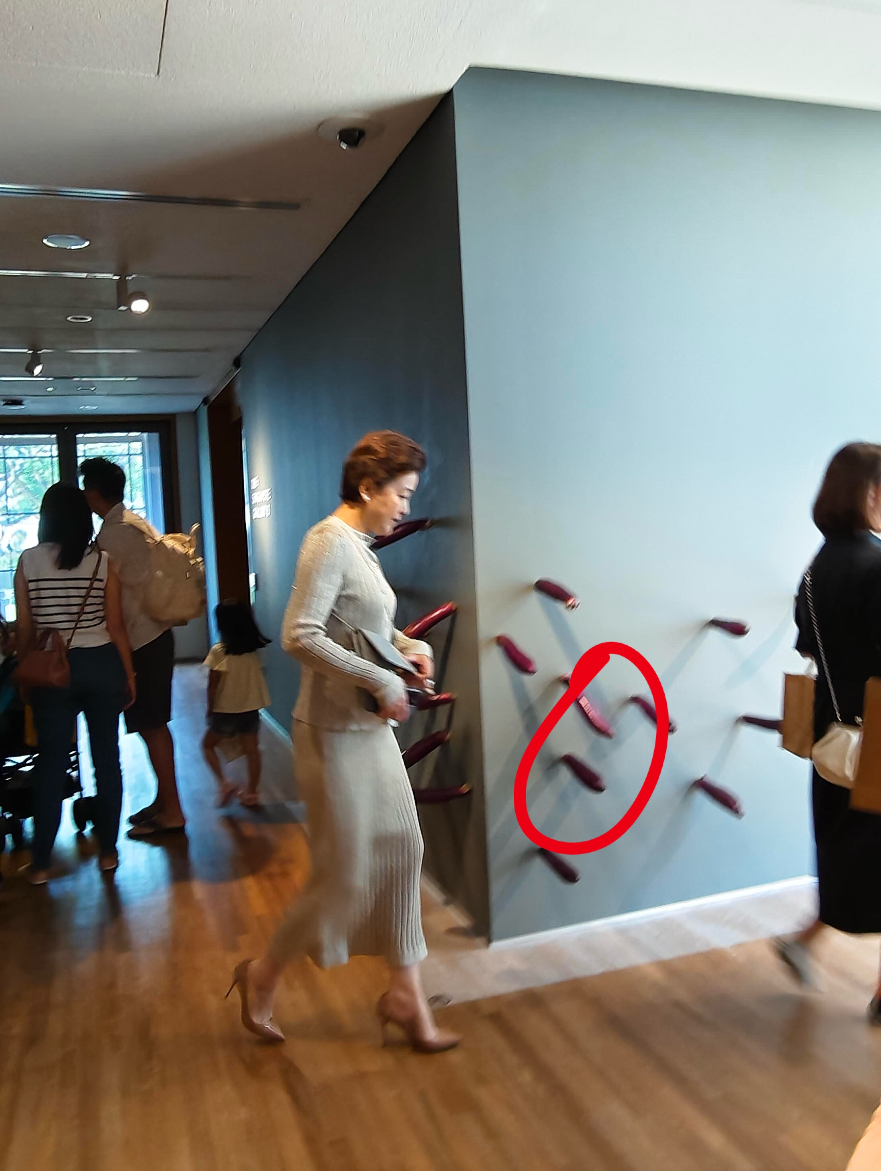 网友新加坡偶遇杨澜逛展，话说这墙上是啥？​​​