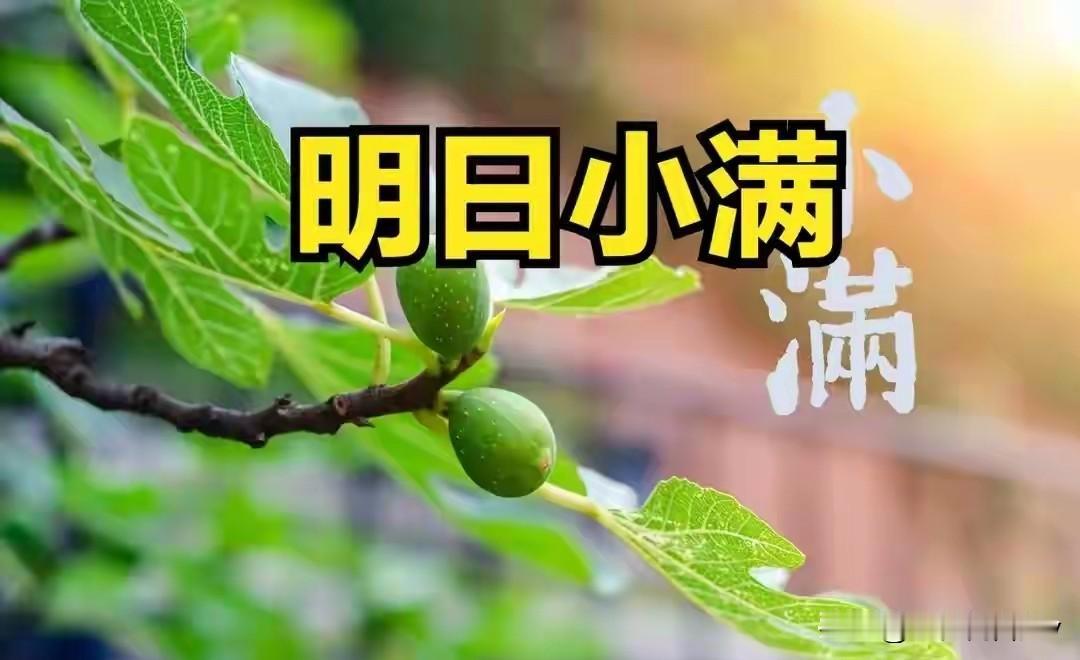 明日小满是“满日”，记得：1不坐、2不开、3不出、4要看、5要吃明天是小满