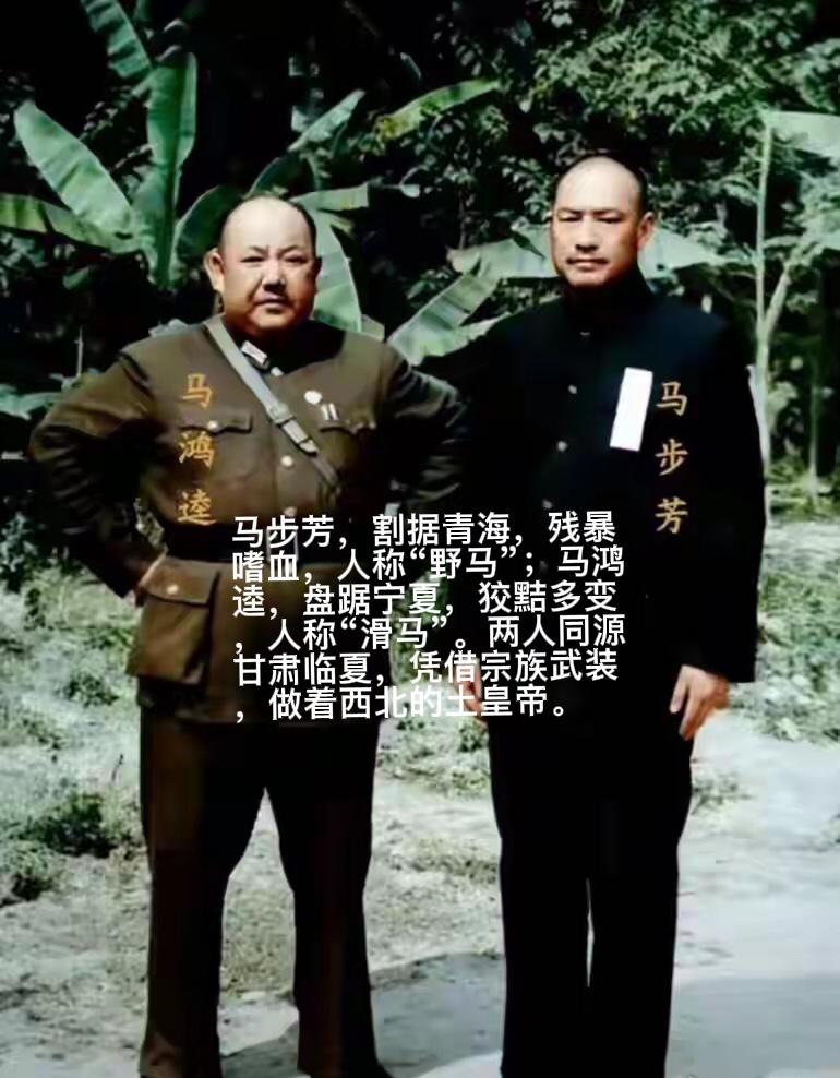 1949年，马鸿逵、马步芳谁来当西北军政长官，蒋介石难下决断，阎锡山建议：“马步