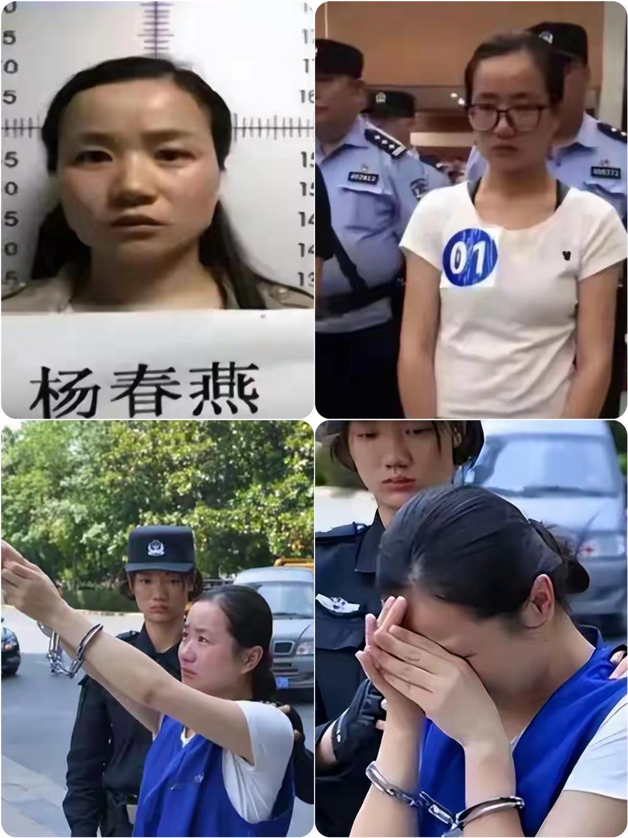 她不是不懂法，而是太懂法。杨春燕，28岁，法学硕士，论文写的是《互联网金融的风