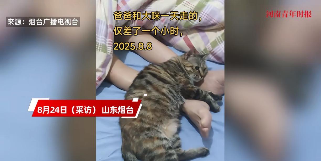 “万物皆有灵！”8月8日，山东烟台，一位老人因病离世后，仅仅过了一个小时，一直很