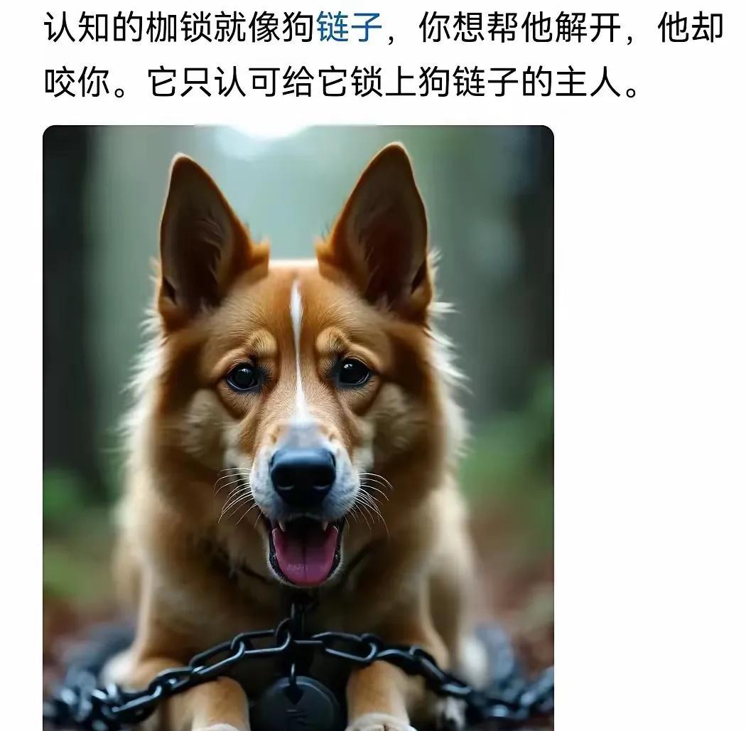 我亲戚曾经养了条狗看家护院，他本来就好吃懒做，所以他的狗也是饥一顿饱一顿，瘦骨嶙